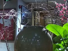 -紫霞门韩国料理烤肉(深南东路店)