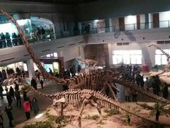 -自贡恐龙博物馆
