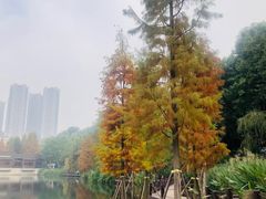 -重庆彩云湖湿地公园