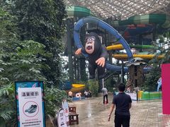 -杭州开元森泊度假乐园