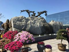 -南通洲际绿博园