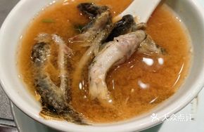 Big Flower Loach Fish Soup