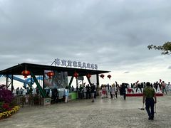 -呀诺达热带雨林