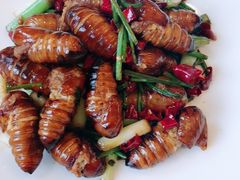 -南山鲜虾面·活鲜小馆·海味大连菜(南山总店)