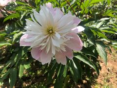 -幕燕滨江·长江观音景区