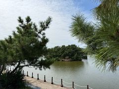 -日照海滨国家森林公园
