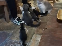 -老屋咖啡