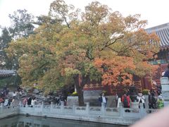 -香山公园-东宫门售票处