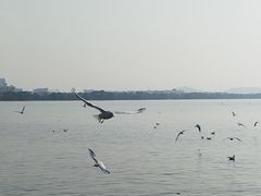 -蠡湖大桥公园