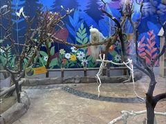-海合安青岛极地海洋公园