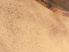 -濠轩阁特色生蚝火锅(水湾路店)
