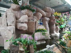 -东南花都花博园