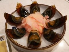 -裕.鹅庄
