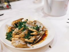 葱油蛏子-小厨师·二十年沈家门小海鲜(百井坊巷店)
