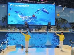 -泉城欧乐堡海洋极地世界