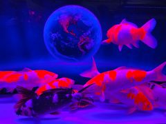 -三旗百汇商品城