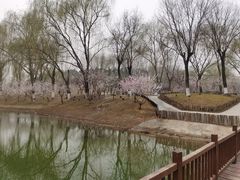 -河北省园博园