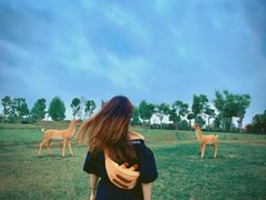 -武汉紫薇都市田园