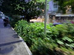 -湖南省地质博物馆