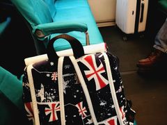 -龙阳路磁悬浮列车总站-停车场