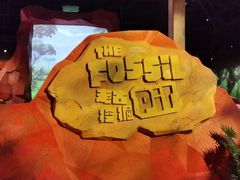 -珠海横琴国家地理探险家中心(创新方)