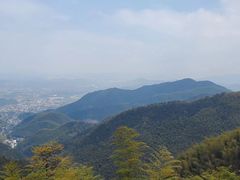 -莫干山风景区