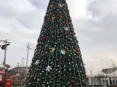 -普兰达德国餐厅·德式脆皮烤猪肘·自酿啤酒(观唐店)