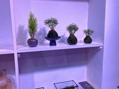 -植觉