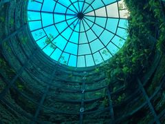 -西峡恐龙遗迹园