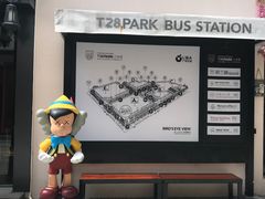 -T28PARK公园里