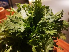 -白乐天毛肚火锅馆(解放碑店)