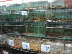 海鲜们-海岛渔村大酒店(云霄路店)