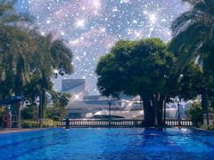 -广州白天鹅宾馆