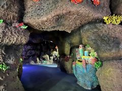 -南昌海洋公园