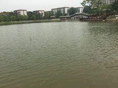 -西海子公园