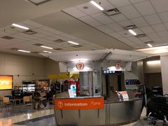 -达拉斯 沃斯堡国际机场