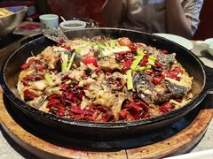 -老板恋上鱼(恒隆广场店)