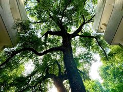 -湖北美术学院(昙华林校区)