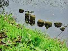 -花溪公园