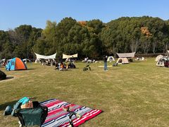 -昆山城市生态森林公园