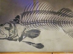 -鱼库·不仅是一家烤鱼店(车公庙店)