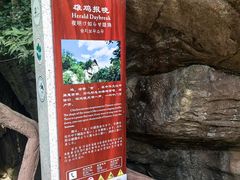 -秦岭终南山世界地质公园翠华山景区