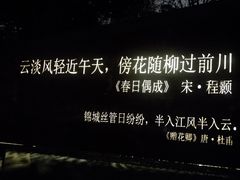 -飞凤山奥体公园
