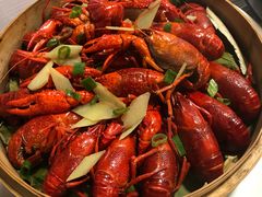 清蒸龙虾-袁老大龙虾(石鼓路总店)