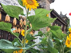 -天龙八部武侠城