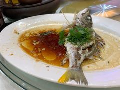 -有腥气私房菜·寻味顺德