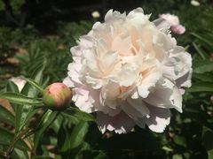 -洛阳龙门站