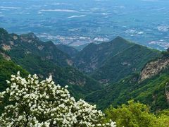 -少华山国家森林公园