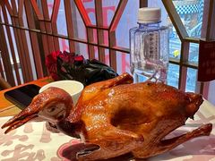红烧乳鸽-大鸽饭(北京路店)
