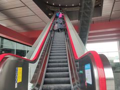 -中华艺术宫(上海美术馆)